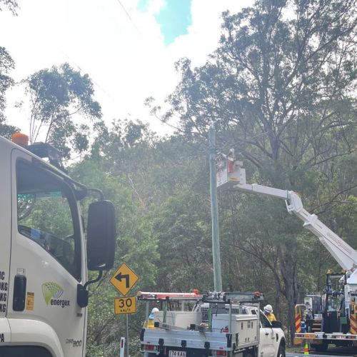 Crew members in cherry picker working on powerlines with gum trees in background