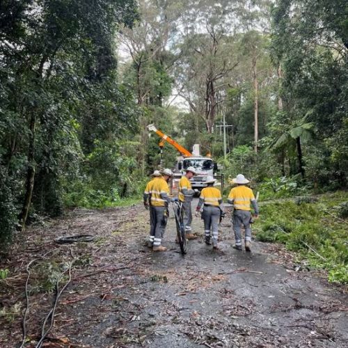 Group of field crew on a road in rainforest