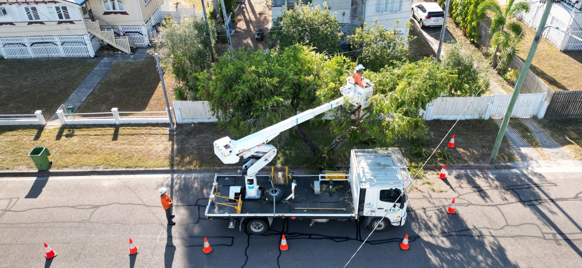 Tree trimming crews