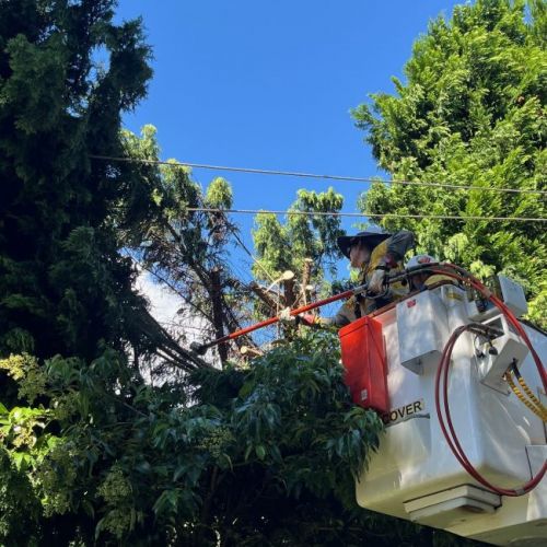 Crew member in cherry picker working on powerlines