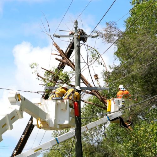 Crew members in a cherry picker working to remove trees from powerlines