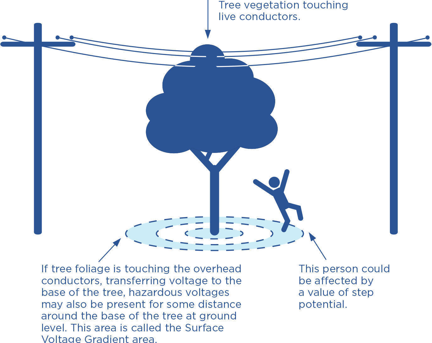 Diagram showing the affect of what happens when trees touch live conductors