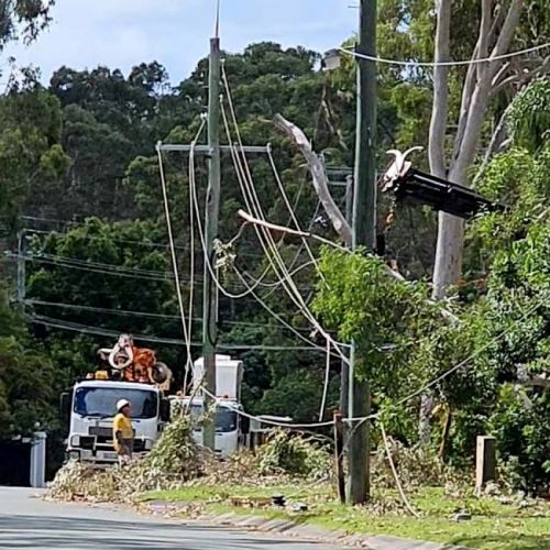 Crews working on damage to powerlines with trees in residential street with gum trees in background
