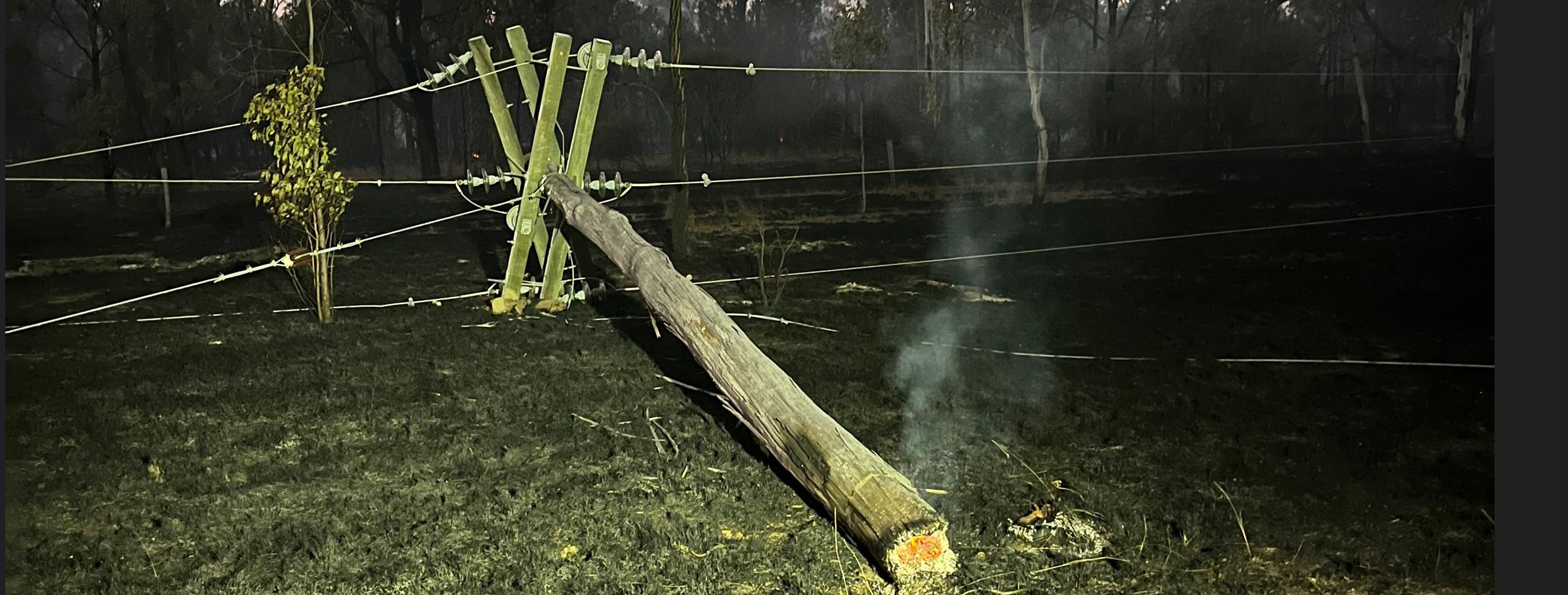 Burnt pole