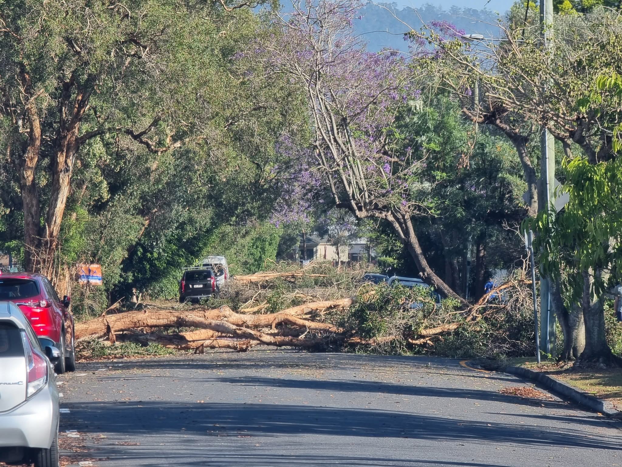 Storm damage at Chelmer 
