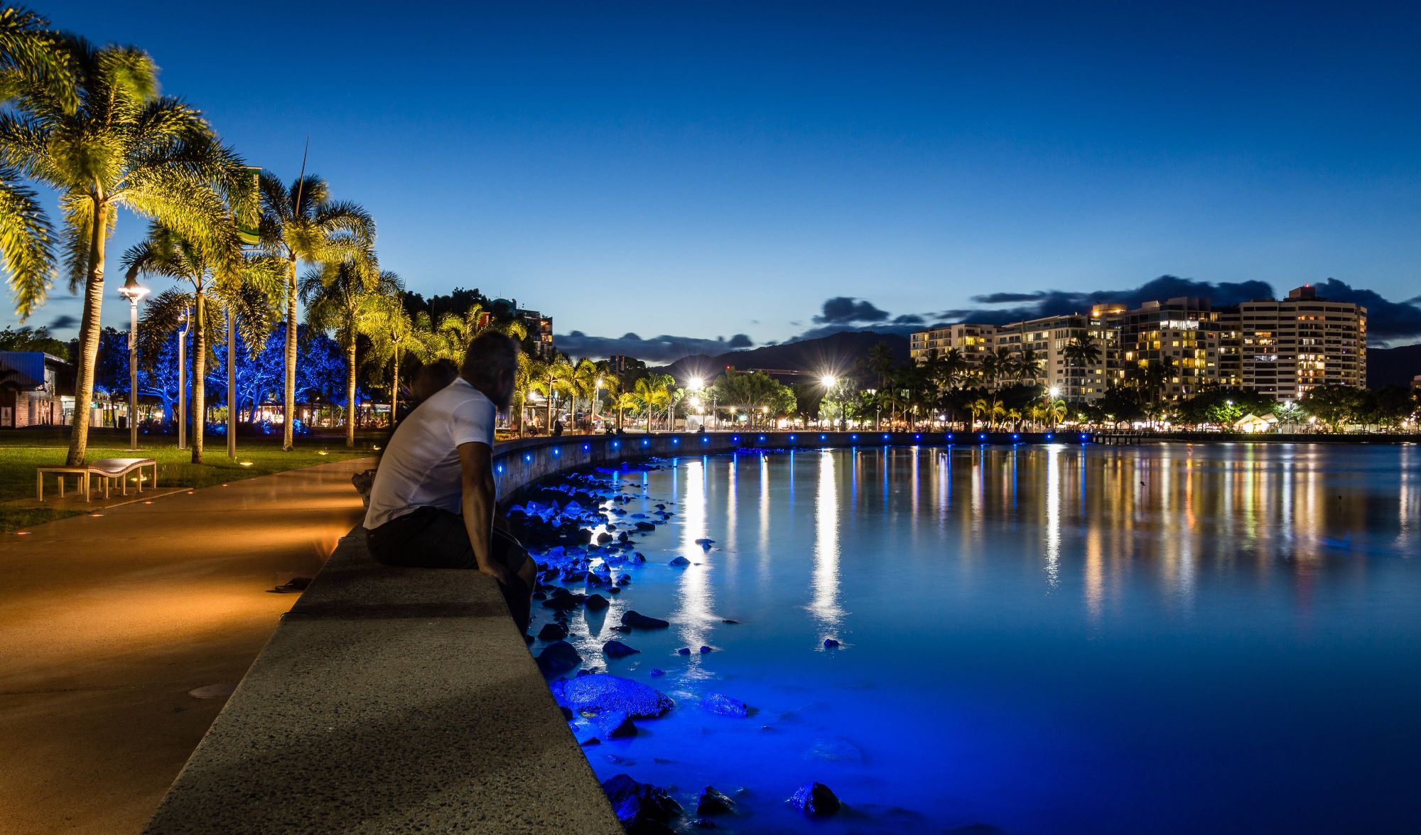 Cairns Esplanade at night with palm trees, buildings and water