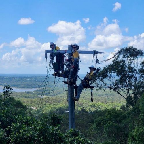 Aerial view of field crew at top of pole in rainforest with 