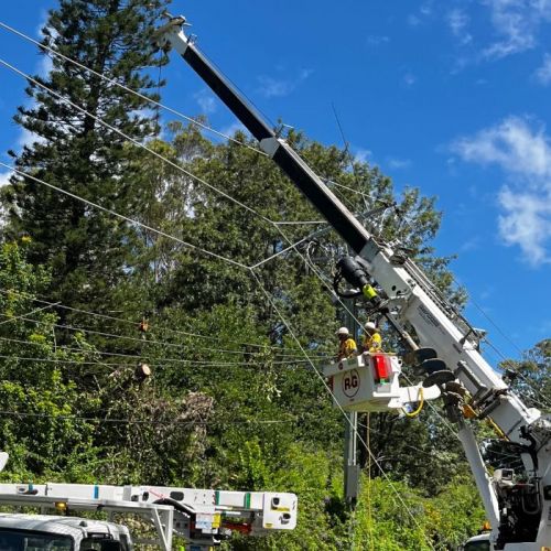 Field crew in cherry picker working on powerlines while trees are removed by crane