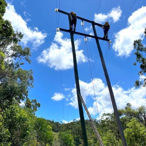 Crew members standing on platform at top of power pole in bushland