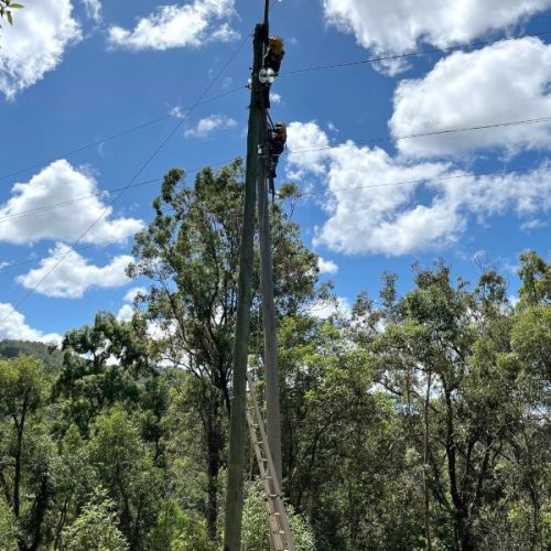 Two crew members standing on platforms at the very top of power poles in bushland