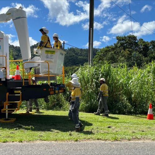 Crews on ground and in cherry picker about to work on powerlines with bushland in background