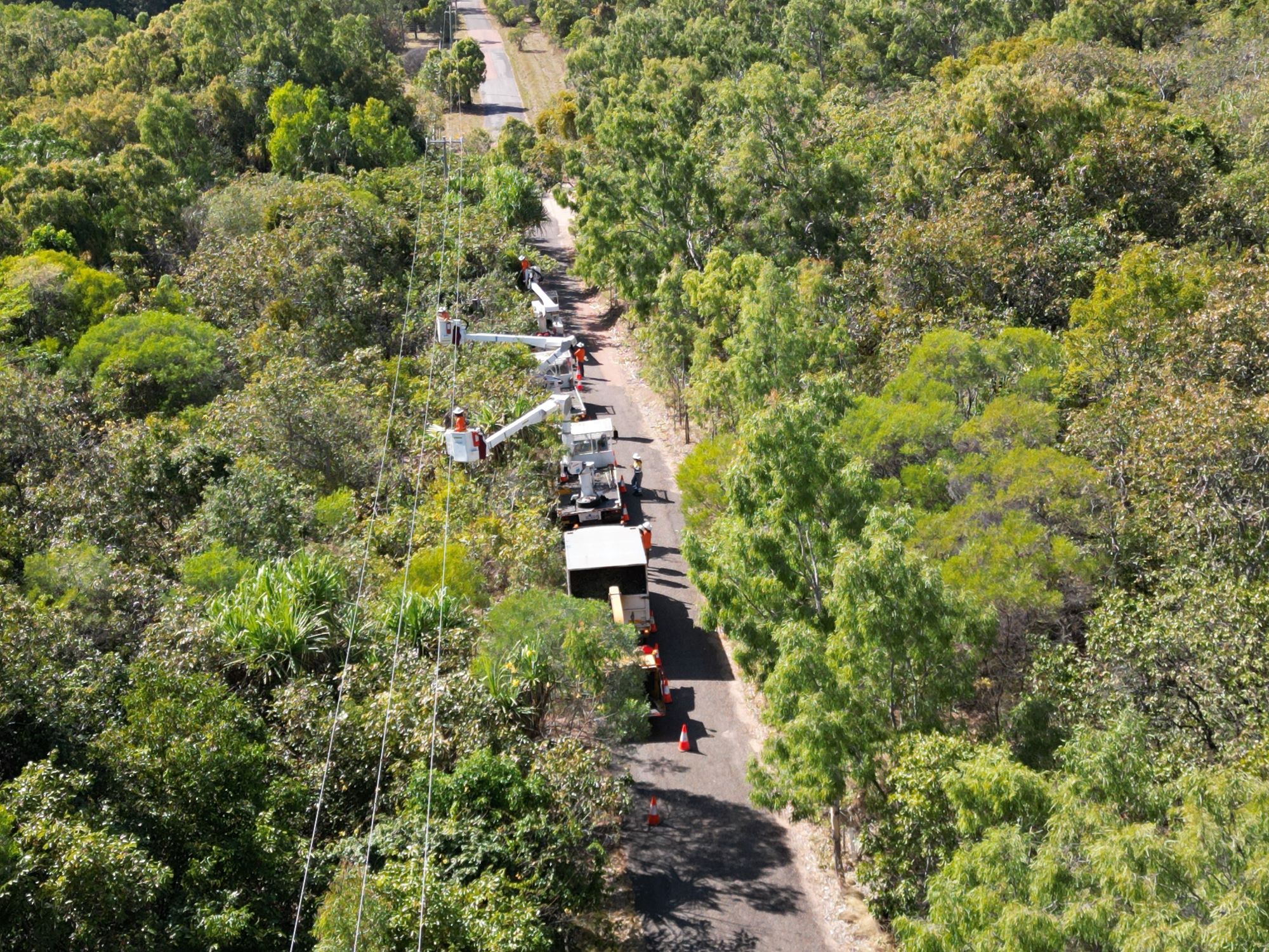 Tree trimming crew on Magnetic Island 