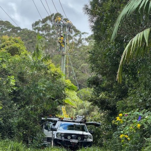 Crews up a powerline with car in front in a rainforest