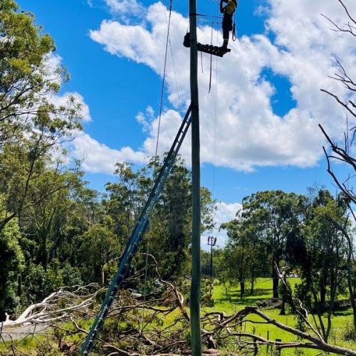 Crew members standing on platform at top of pole in paddock at Mt Cotton