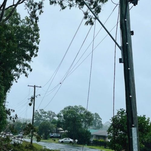 Trees into powerlines at Cornubia