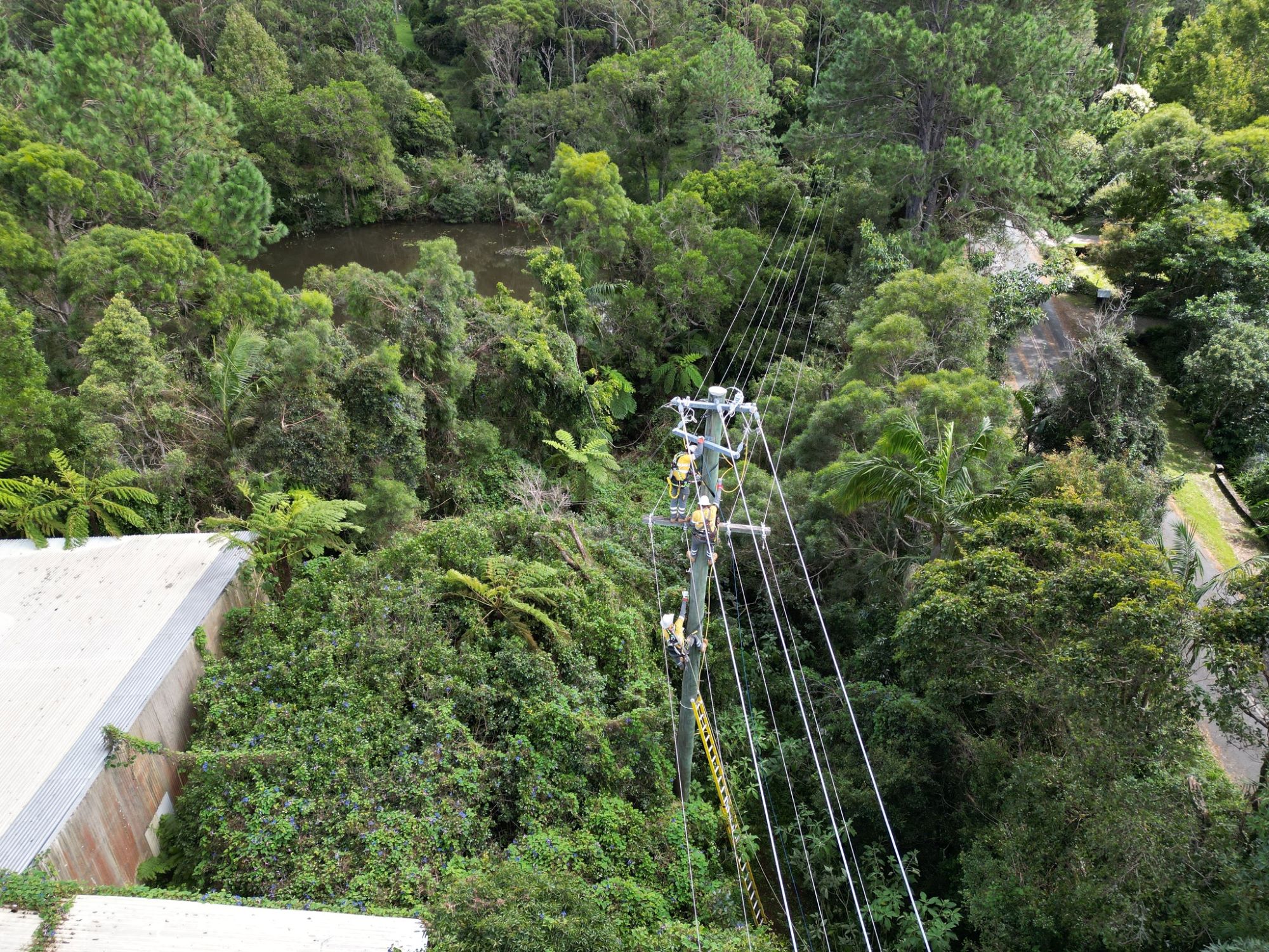 Aerial view of crews working on powerlines above the rainforest canopy