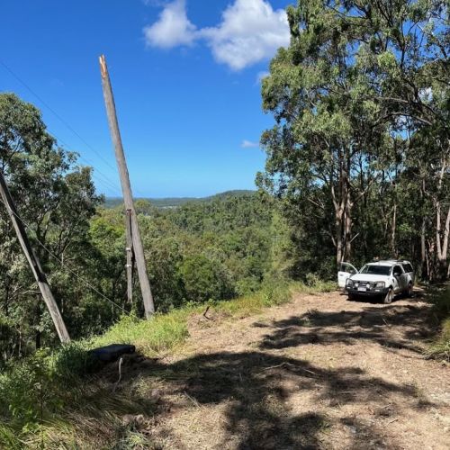 Broken power pole on top of mountain with bush in background