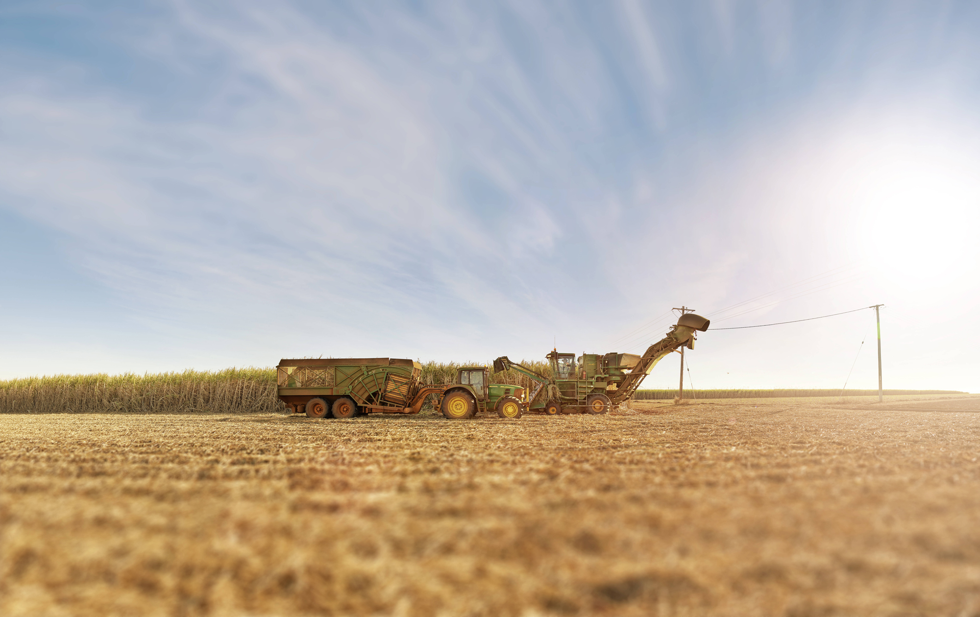 Tractors for sugar cane harvesting in field with powerlines in background