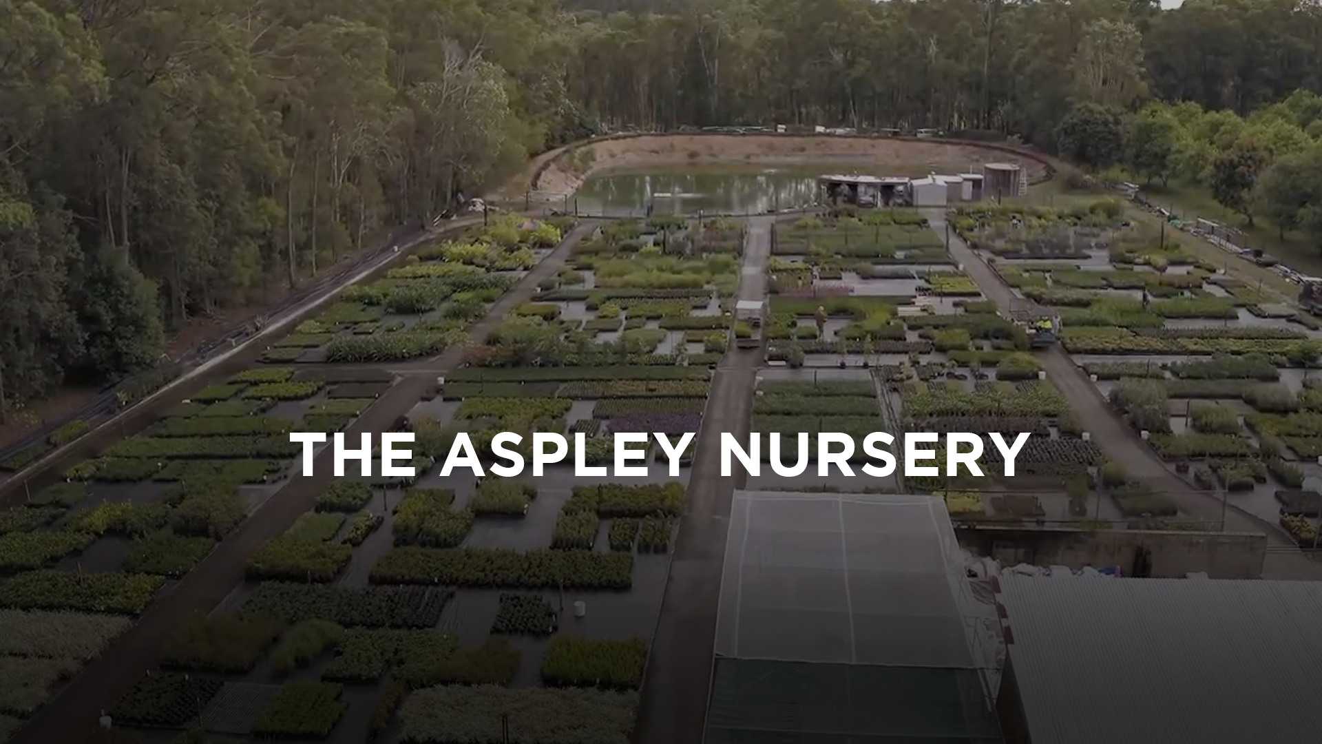 Aerial view of the Aspley plant nursery with dam in background