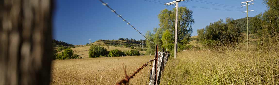 Paddock with barbed wire fence